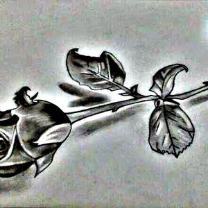 lo que se esconde debajo de la hoja!!! por eduarsojo ...