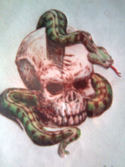 Imagenes De Calaveras Y Serpientes | imagenes de calaveras con serpientes para dibujar imagui Imagenes De Calaveras Y Serpientes | imagenes de calaveras con serpientes para dibujar imagui