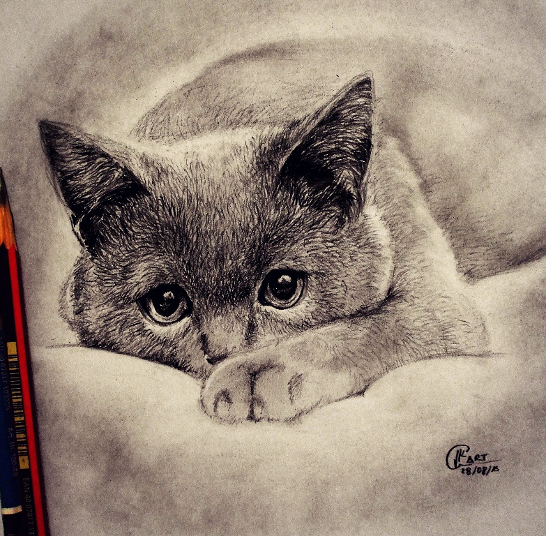 Gato Ilustracion por Juan-K | Dibujando