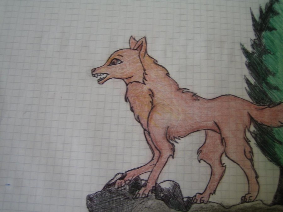 Jacob_forma_lobo_8582.JPG