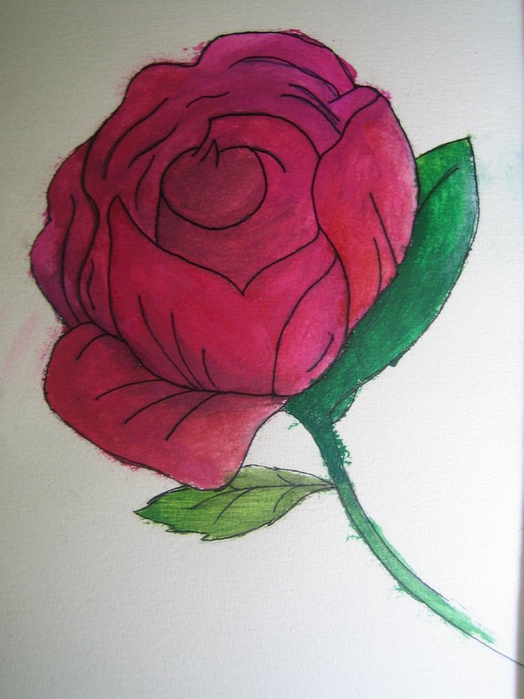 Rose_17180.JPG