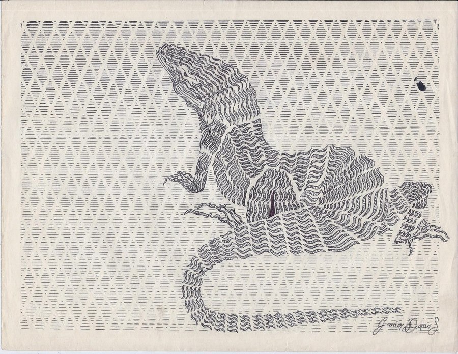 lagarto_44456.jpg