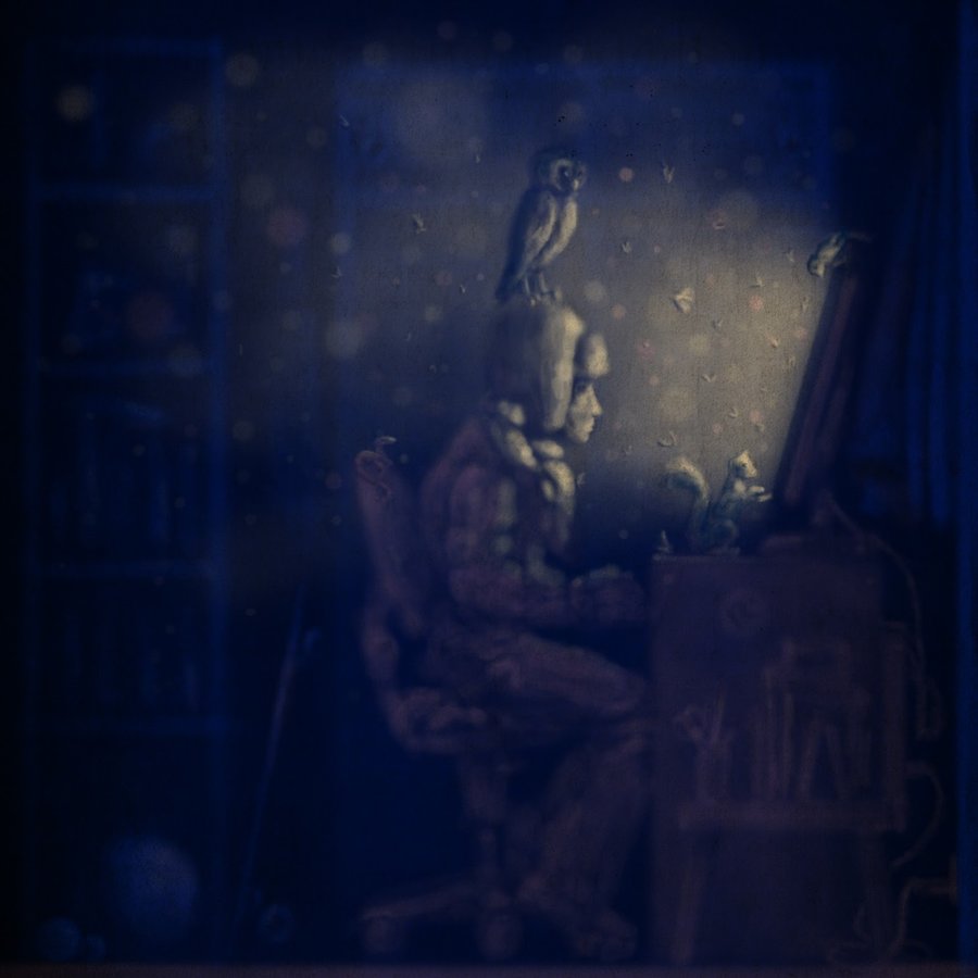 night_user_52814.jpg