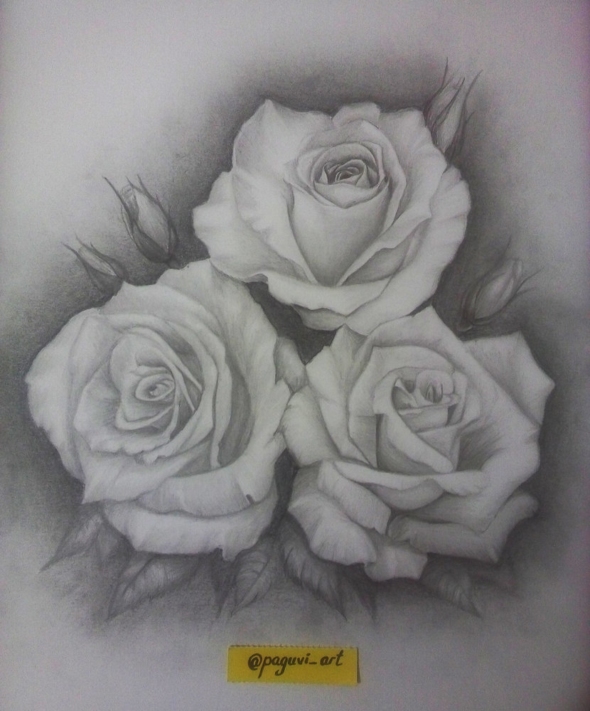 DIBUJO_334684.jpg