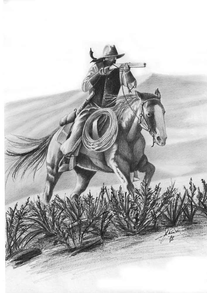 cowboy_370612.jpg