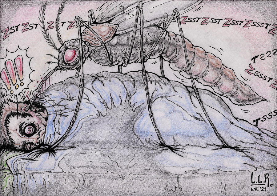 Mosquito_457651.jpg