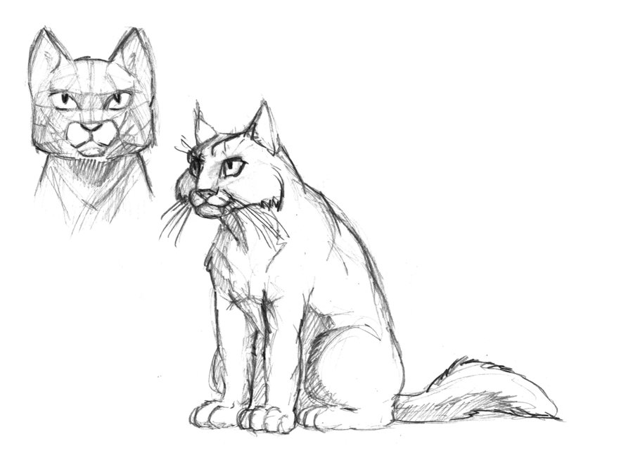 dibujo095_496735.jpg