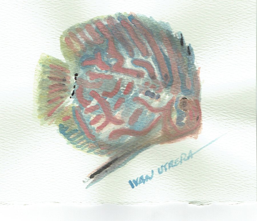 fish07_482558.jpg