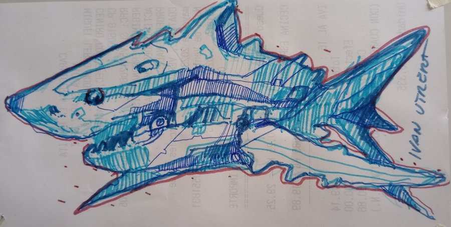 shark01_516486.jpg