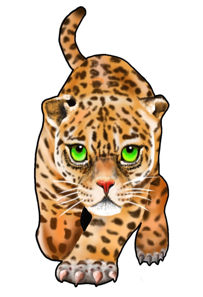 jaguar_new_516839.jpg