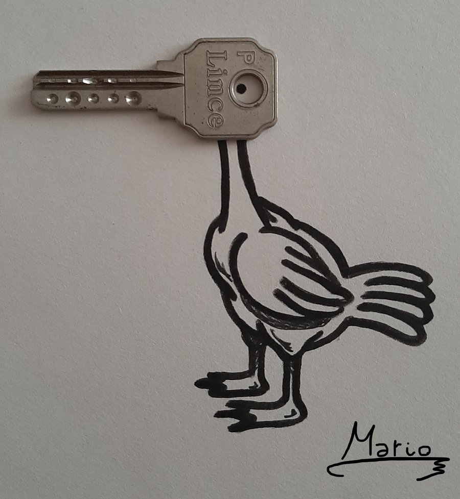 pato_llave_518525.jpg