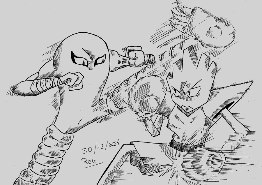 pokes_luchando_522964.JPG