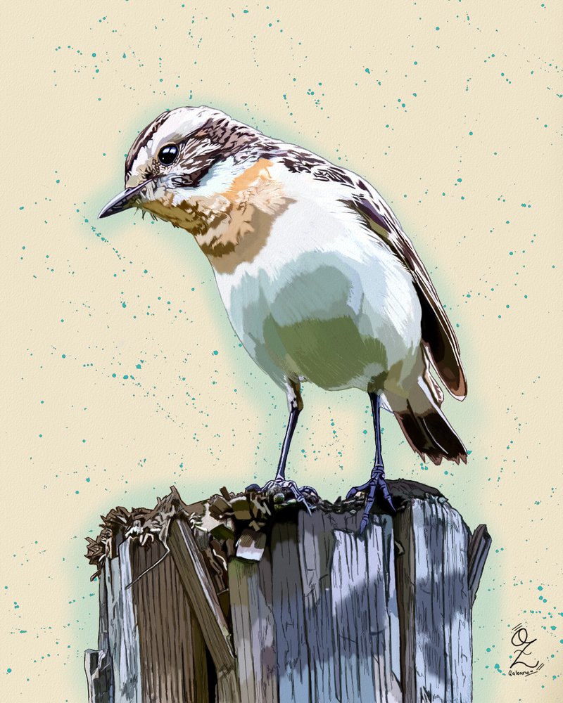 Bird_Pexels_Maria_argiroudaki_text_514057.png