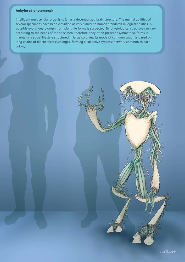 EXTRATERRESTRE_527848.jpg