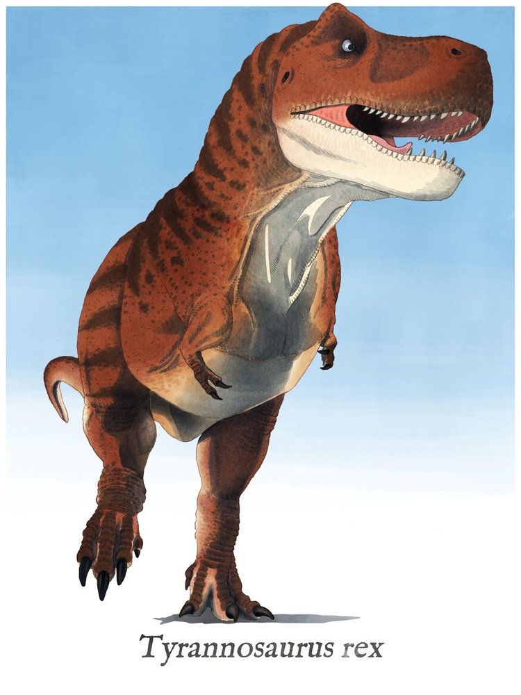 3_4_format_dinos_19_xs_528664.jpg