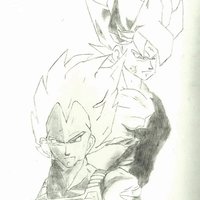 Goku&Vegeta