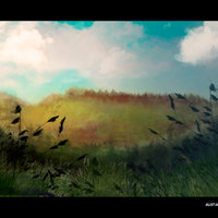 Redfields