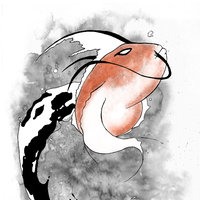 Koi