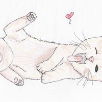Gatito, ¡GATETEEE!