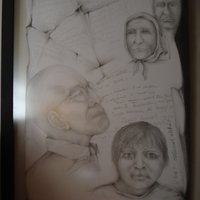 solo razas