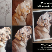 Retratos pequeños de Mascotas 12x15 cm 