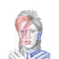 Parcelas 001(Bowie)