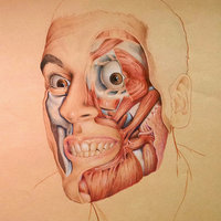 ¿Qué es mejor dibujar en computadora, en lápiz, o en los 2? ¿Calcar puede ayudar a me