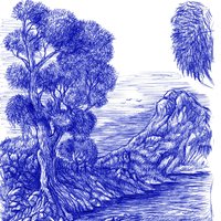 campo