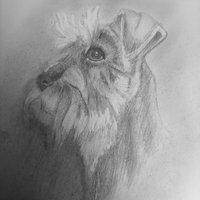 COMPAÑERA PANCHA