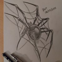 Araña
