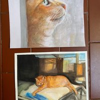 Gatos 