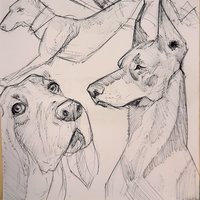 Perros