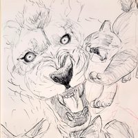 Gatos