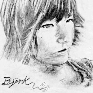 Rtrato de Bjork-terminado