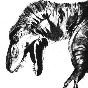 t rex