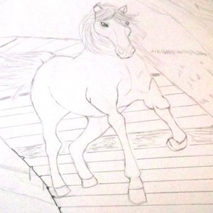 Caballo 