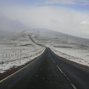 El Camino