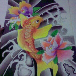 PEZ KOI COLORES
