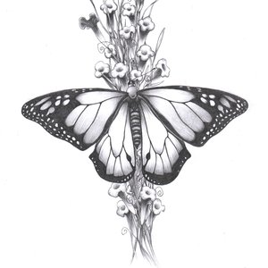 Mariposa