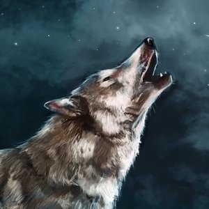 wolf_55685.jpg