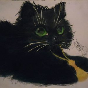 Neko