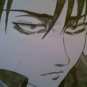 Rivaille-Levi