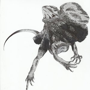 lagarto con chorreras