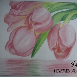 Reflejo de Tulipanes