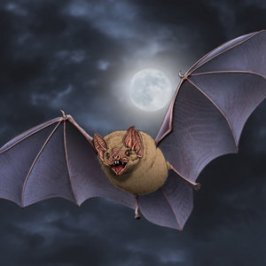 DRACULA, de Bram Stoker. COLECCIÓN LA AVENTURA DE LEER