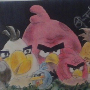 angry birds