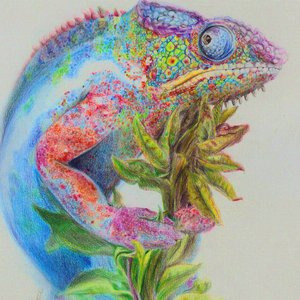 camaleon_84114.jpg