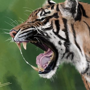 Roar...