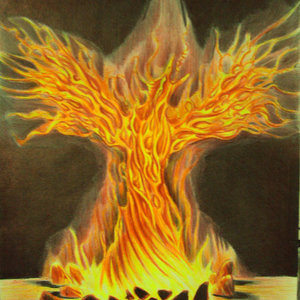 Ave Fénix Ave Fénix