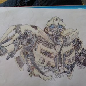 Bumblebee!
